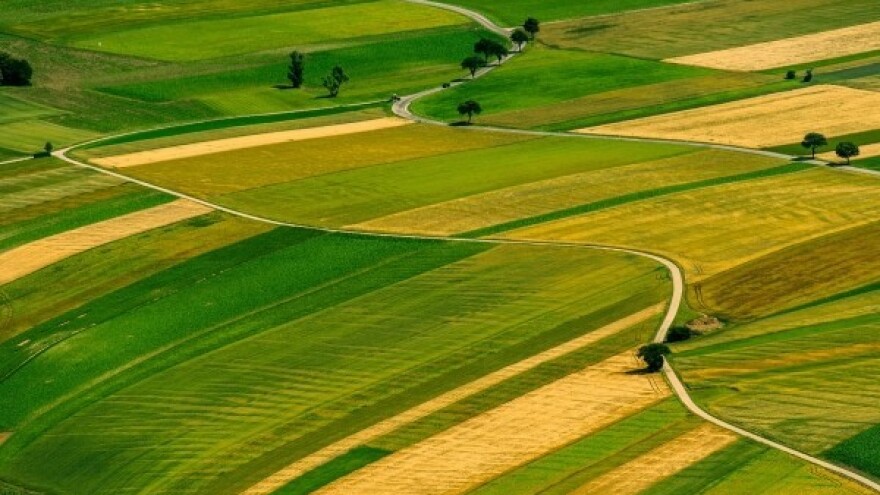 Srbija zemlju daje Arapima?