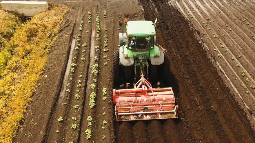Koje zemljište je najskuplje, a koje najjeftinije u EU?