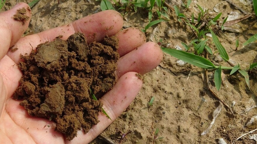 Vojvodina će za pola veka biti pustinja?