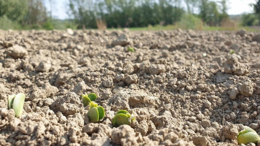 Novi prijedlog proračuna EU: Manje novca za ZPP i ne tako dobar plan?