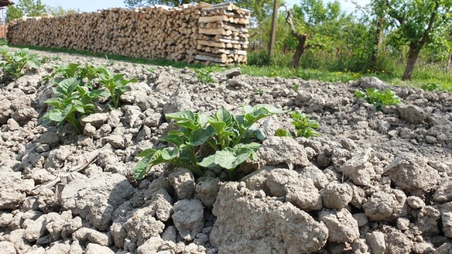 EK objavila paket mjera za dalju podršku poljoprivredno - prehrambenom sektoru