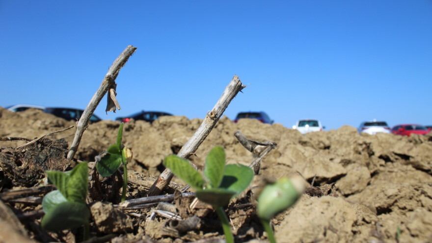 Agencija za plaćanja objavila Vodič za korisnike o definiciji malih i srednjih poduzeća