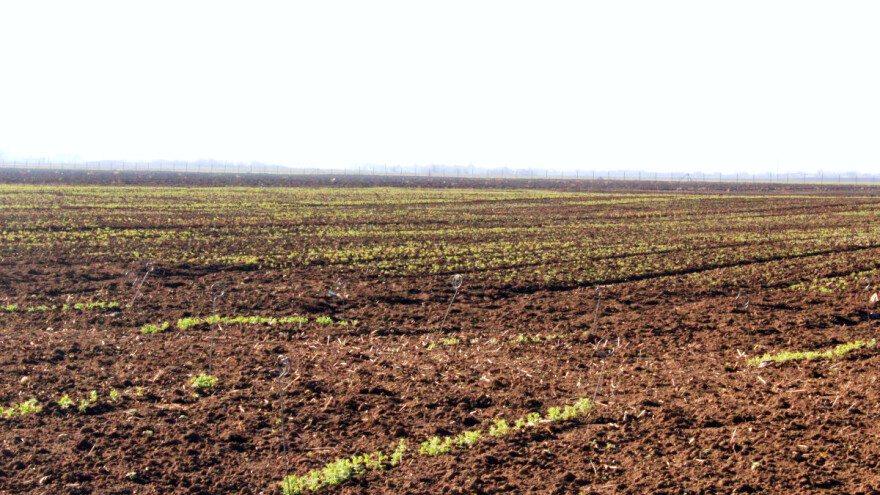 Zakon o poljoprivrednom zemljištu: Novi kamen spoticanja pravo prvokupa od strane države?