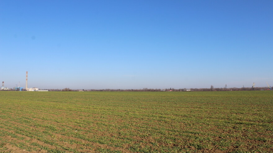 Negde setva još uvek traje: Kako će prezimeti ozimi usevi?