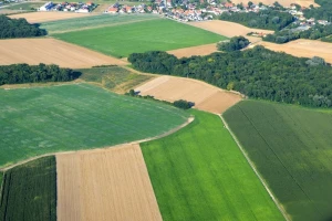 Poljoprivredne površine ne pretvarati u šumske dok ne zadovoljimo potrebe u proizvodnji hrane