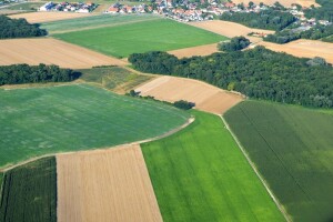 Poljoprivredne površine ne pretvarati u šumske dok ne zadovoljimo potrebe u proizvodnji hrane