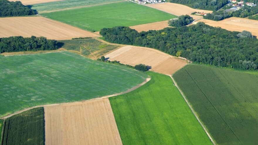 Izravna dodjela hektara tempirana je bomba