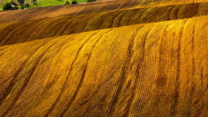 Javni poziv za zakup zemljišta u Drnišu