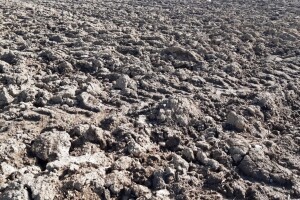 Nema povećane prisutnosti teških metala u tlu potresom pogođenih područja