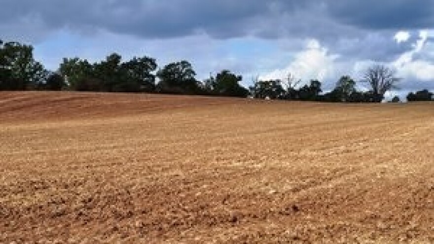 Srbija ubrzano gubi poljoprivredno zemljište