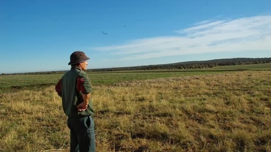 Agrokor se natječe za zemljište kod Zadra?