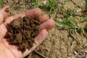Utjecaj klimatskih čimbenika na tlo