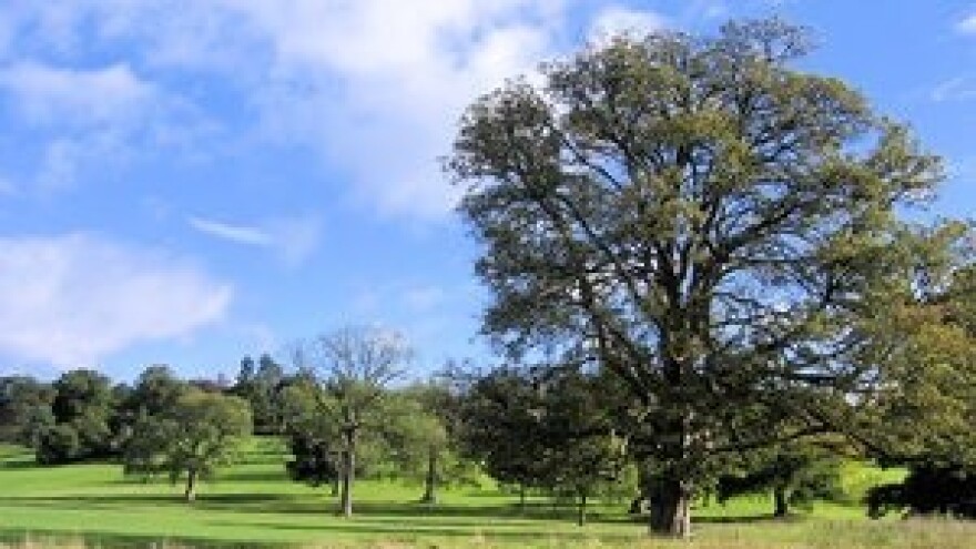 Bugarska čuva svoje zemljište