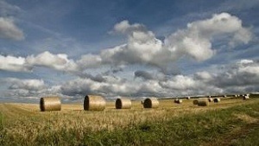 Zašto je loš Zakon o poljoprivrednom zemljištu?