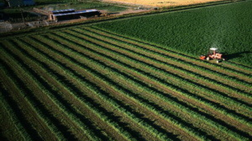 Smanjuje se površina obradivog zemljišta u BiH