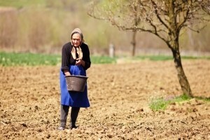 Od zahtjeva do zakupa u šest koraka