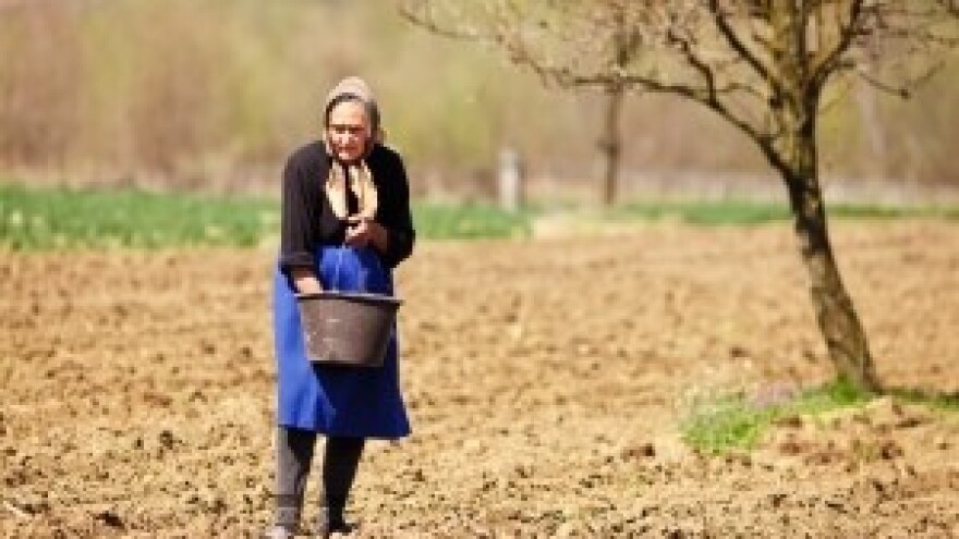 Od zahtjeva do zakupa u šest koraka