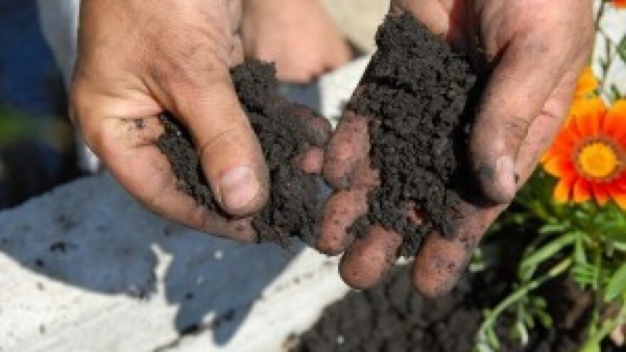 Javni poziv za zakup u Općini Popovac