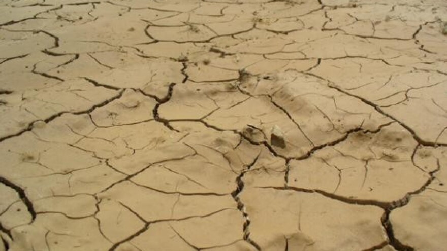 Korak do elementarne nepogode zbog suše