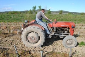 Kupili 273 hektara zemlje za 7.000 kn po hektaru