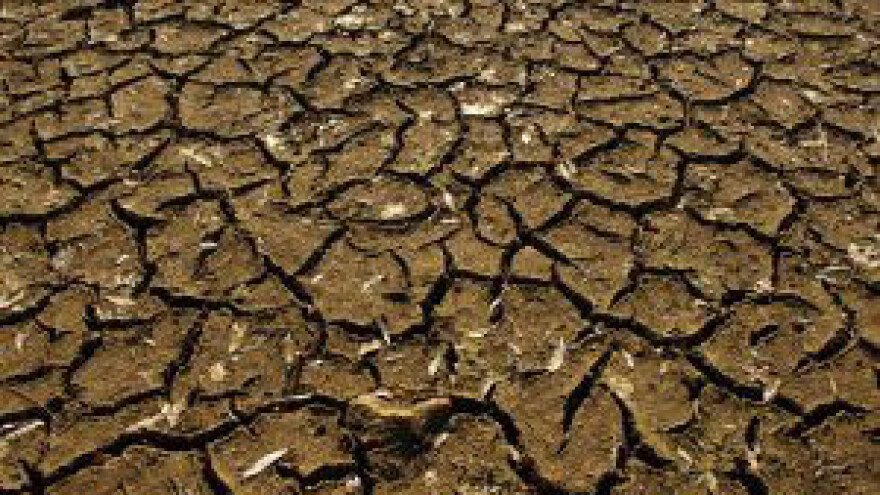 Sve veća potreba za kalcizacijom