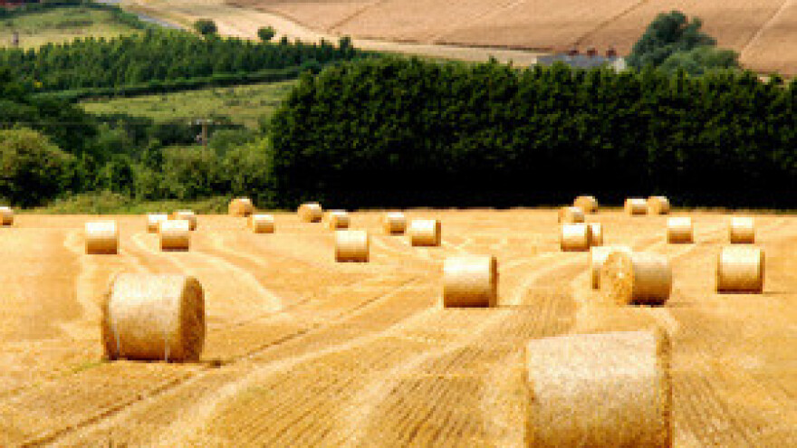 Rat za poljoprivrednu zemlju
