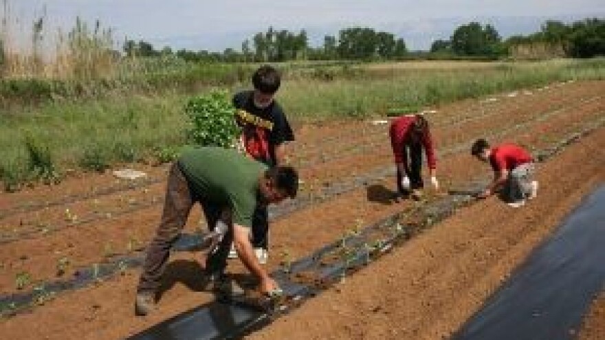 Polja poplivala, takuini presušili