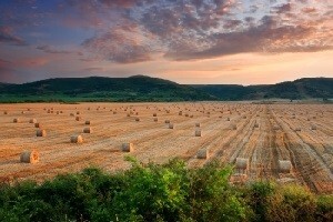 Kritike Zakona o poljoprivrednom zemljištu