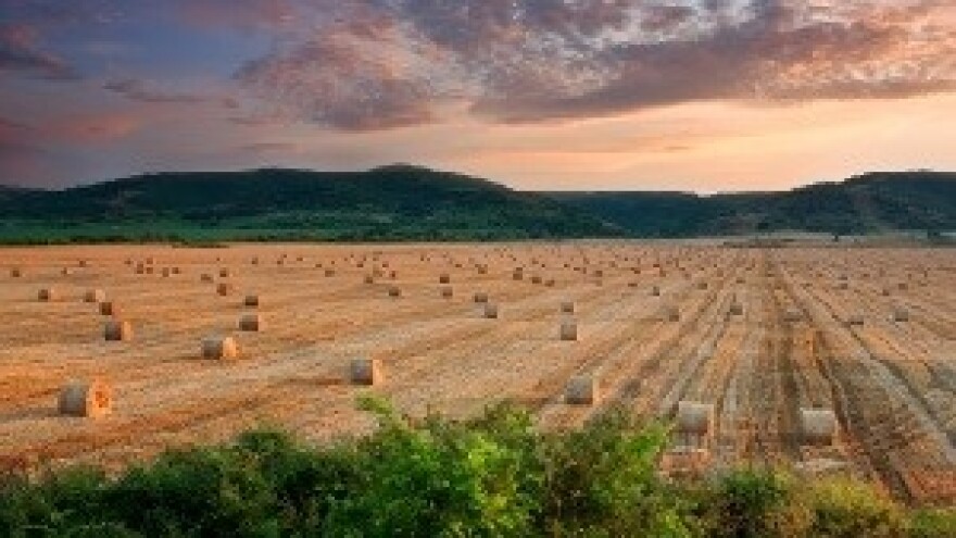 Kritike Zakona o poljoprivrednom zemljištu