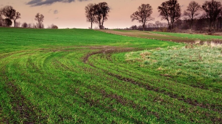 Mladić divljao BMW-om po njivi - mora platiti 3.000 eura odštete