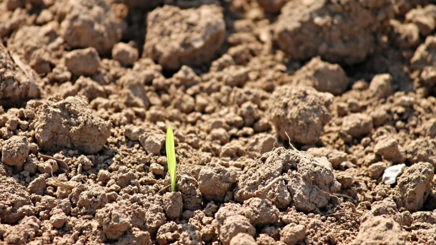 Istekao vam je ugovor za poljoprivredno zemljište? S općinom sklopite ugovor o privremenom korištenju