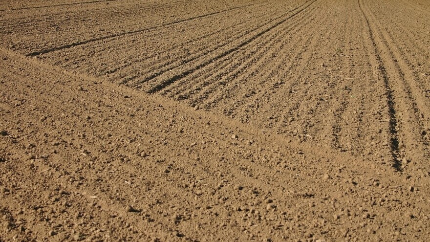 Zemljište se izdaje ratarima, dok Tenis ne dođe