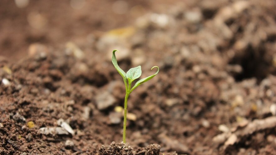 Zemljište sve siromašnije humusom