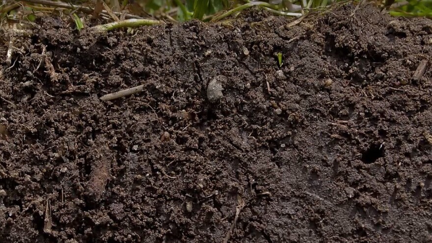 Zašto je važna bazna saturacija?