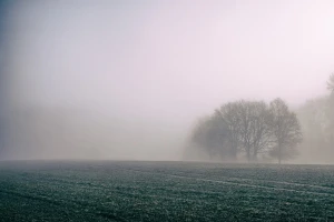 Najskuplje zemljište u Južnobačkom okrugu