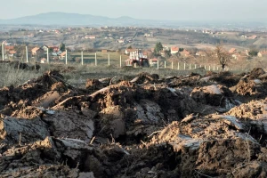 Plodnost zemljišta popravite malčem, kompostom, drvenim pepelom