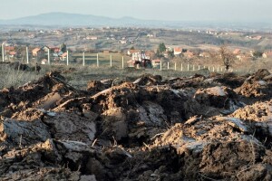 Plodnost tla može se popraviti malčem, kompostom, drvenim pepelom