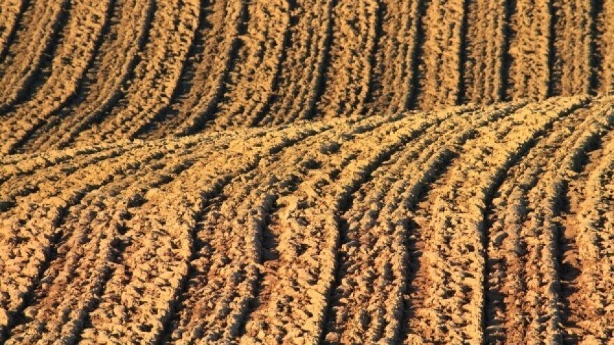 Novi rok za prijavu prijenosa prava na plaćanja