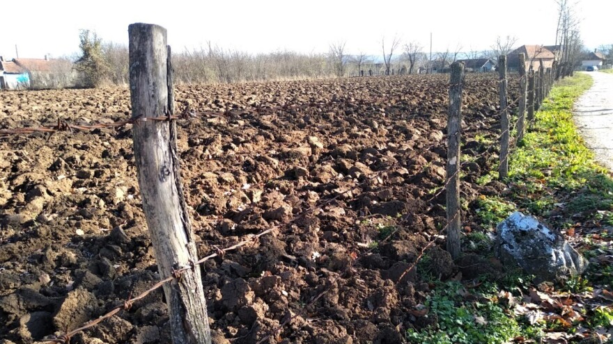 Šumadijskom zemljištu nedostaje organske materije - kako je povratiti?