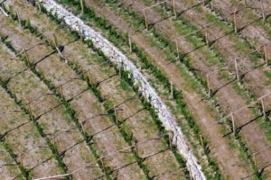 Prodaja državnog zemljišta u Poreču i Pisarovini