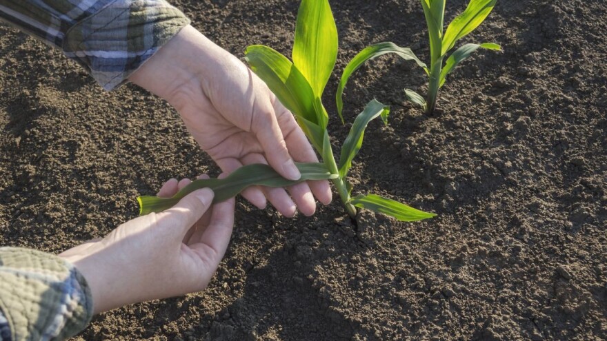 Zakon o poljoprivrednom zemljištu je usvojen, no i dalje se oko njega lome koplja