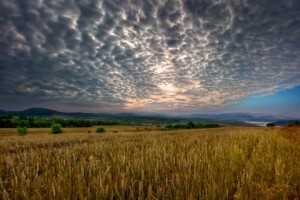 Prodaja poljoprivrednog zemljišta u Čazmi