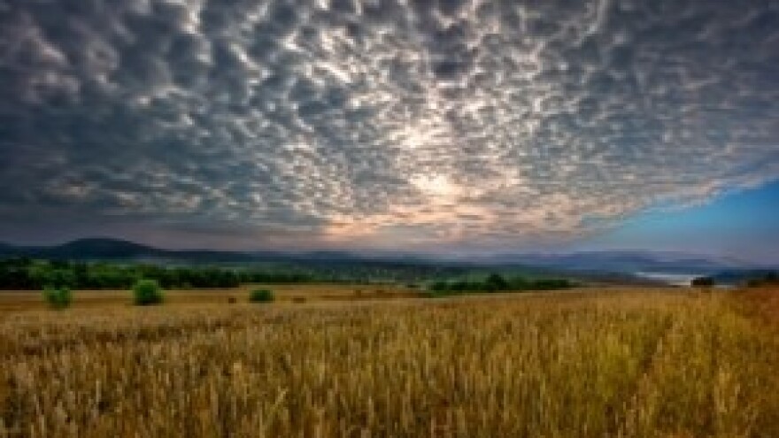 Prodaja poljoprivrednog zemljišta u Čazmi