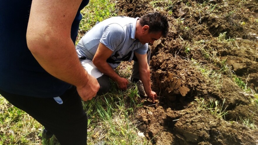 Šta određuje vrednost poljoprivrednog zemljišta?