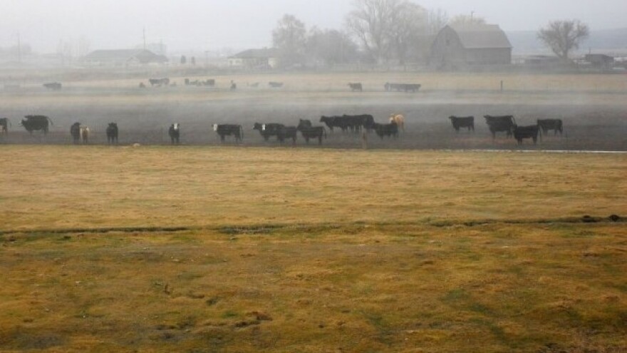 Prodaja državnog zemljišta u južnoj Dalmaciji