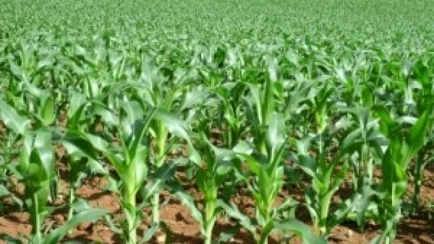 Prodaja poljoprivrednog zemljišta u Karlovcu