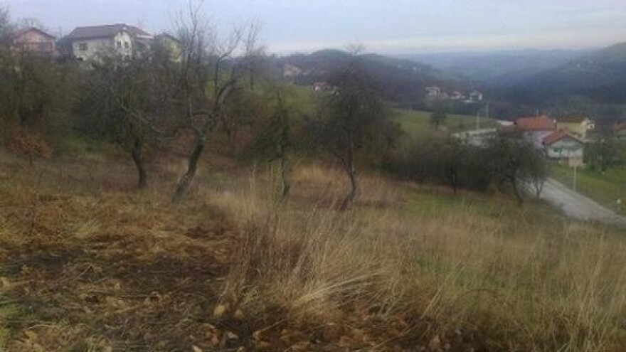 Dodjela zakupa u gradu Ninu