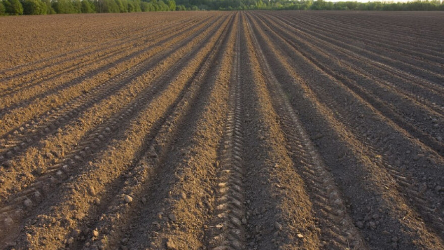 Investitorima prednost pri zakupu državnog zemljišta