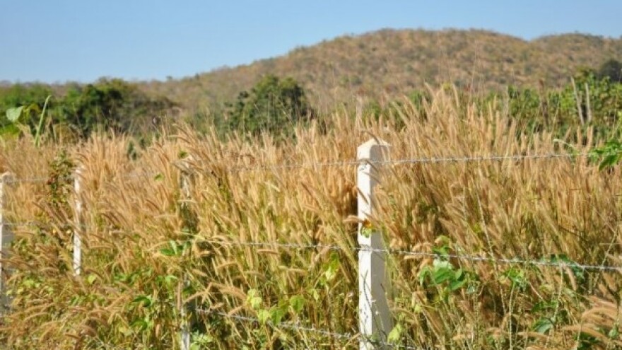 Prodaja državnog zemljišta u općini Rovišće