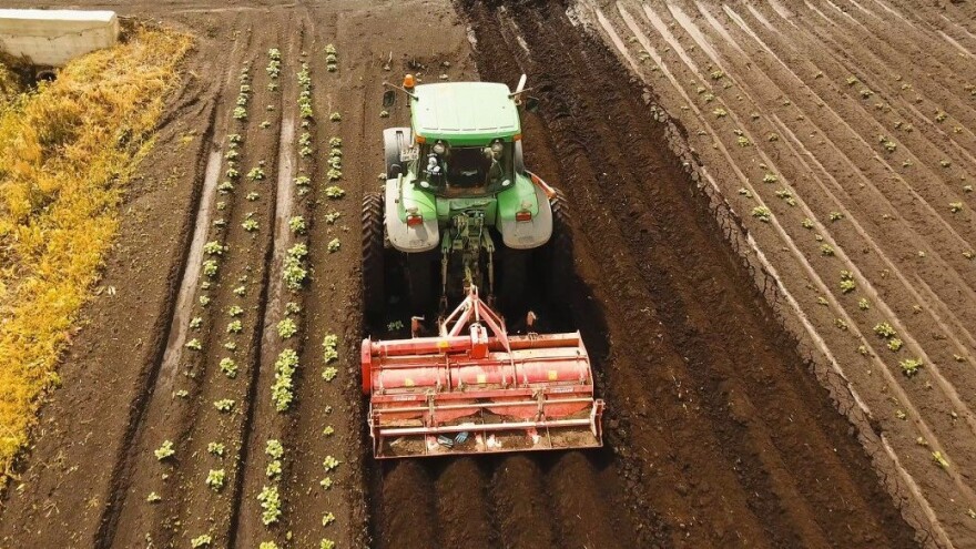 Samo Rumunjska i Estonija imaju jeftiniju zemlju od nas